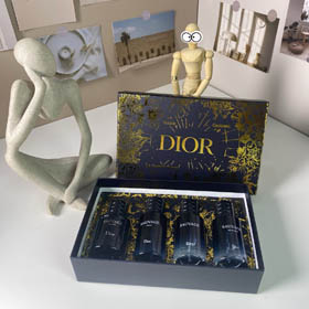 Dior Gold Box Wilderness Medium 4-piece Set-3448
